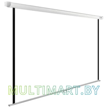 Проекционный экран CACTUS WallExpert 180x120 (CS-PSWE-240x180-WT) картинка 2
